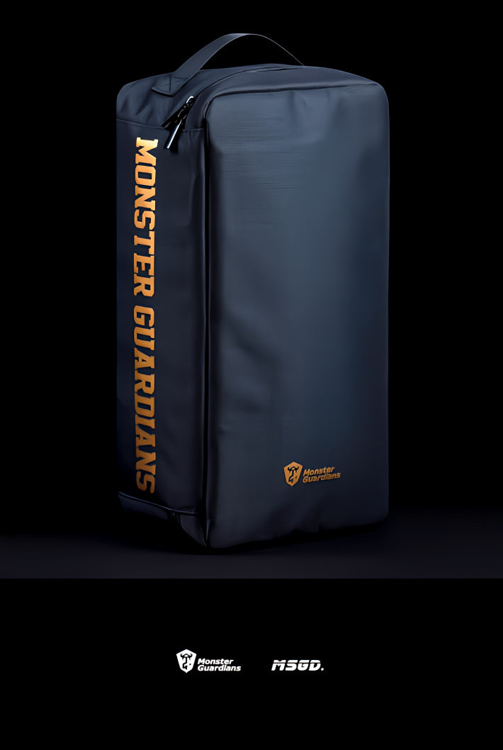 shoe bag
