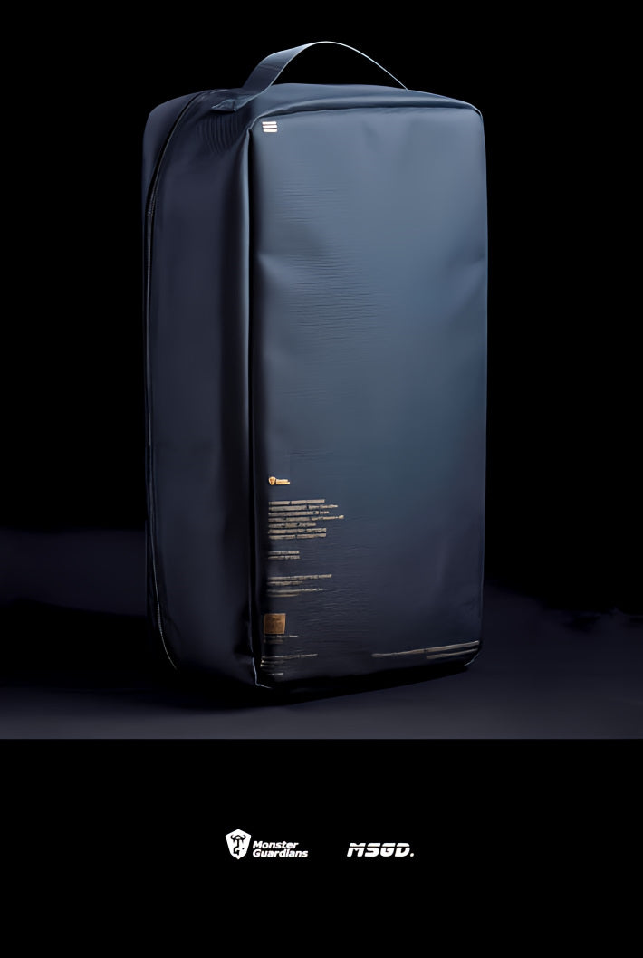 shoe bag