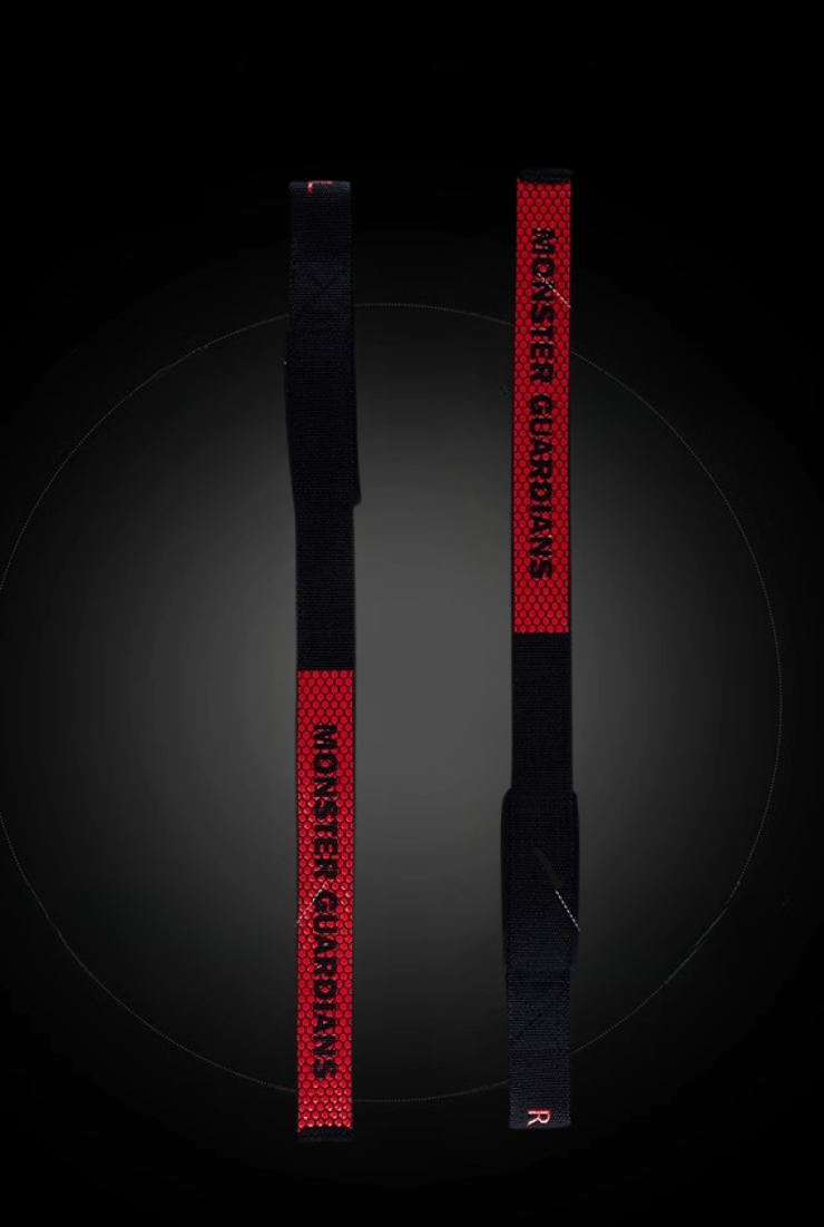 Powerlift Deadlift Support Belt