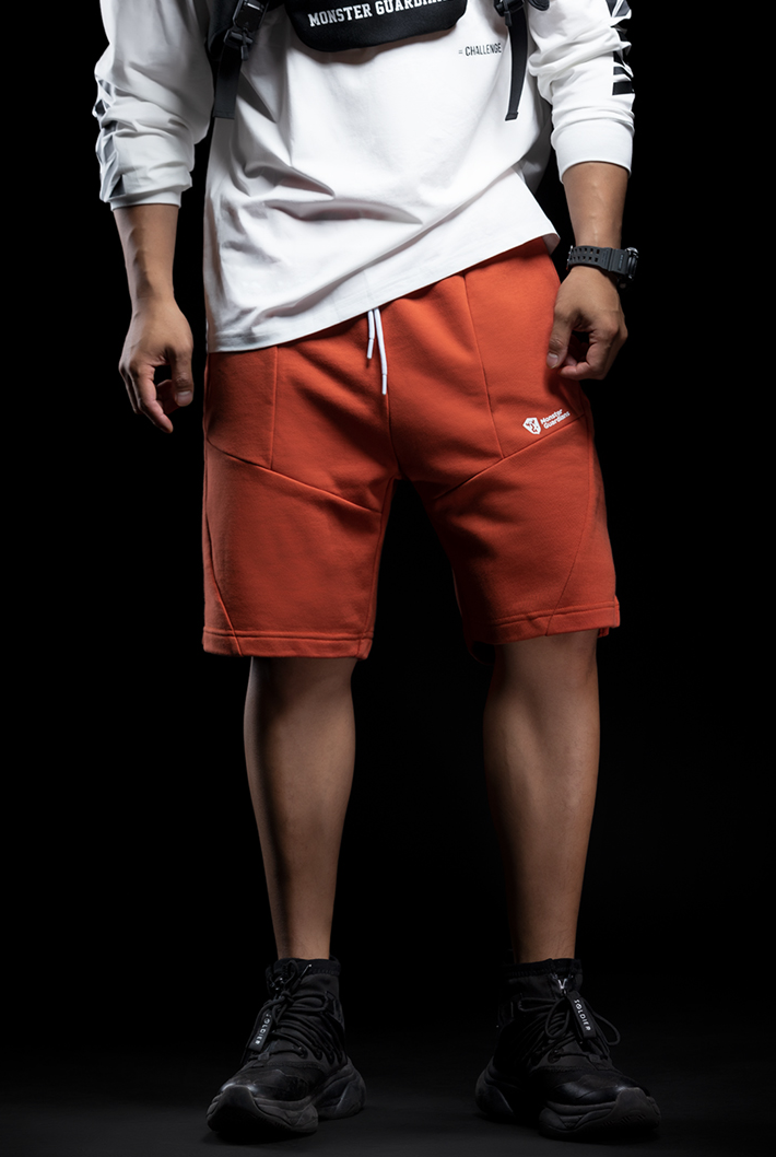 stitched print shorts