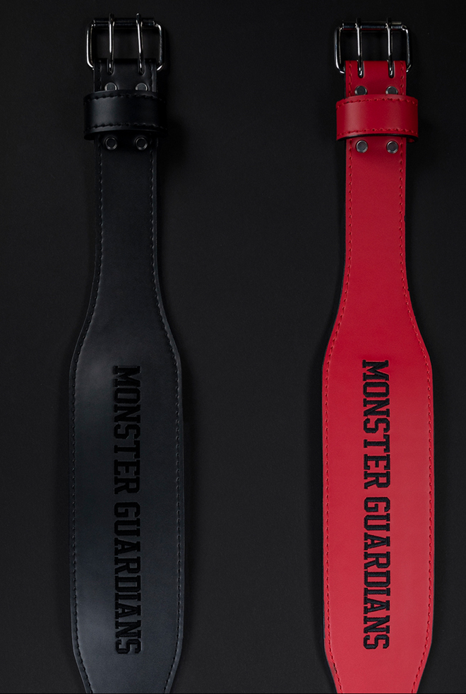 training fitness belt