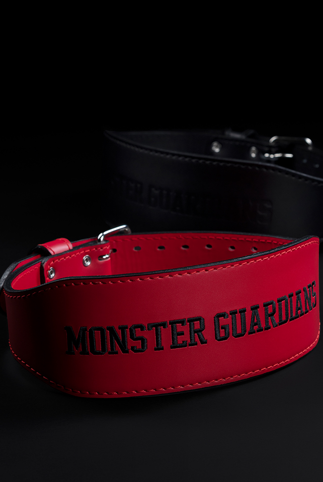 training fitness belt