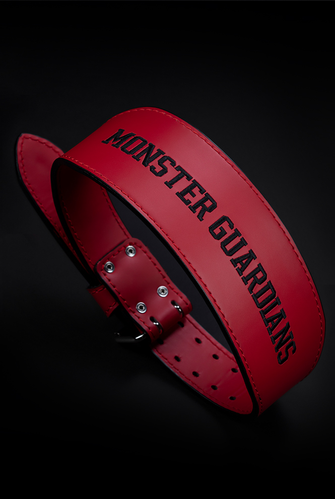 training fitness belt