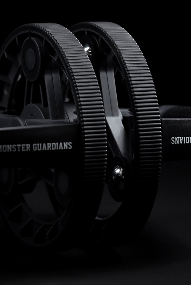portable fitness wheel